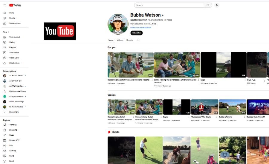 bubba watson net worth